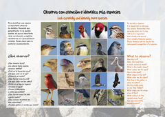 Libro de Figuritas de Aves del Centro de Argentina - La Biblioteca del Naturalista