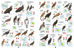 ALL THE BIRDS OF THE WORLD - La Biblioteca del Naturalista