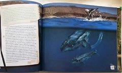 Animales Autóctonos para Niños Nativos- Islas del Atlantico Sur, Mar argentino y Antártida - buy online