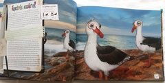 Animales Autóctonos para Niños Nativos- Islas del Atlantico Sur, Mar argentino y Antártida - La Biblioteca del Naturalista