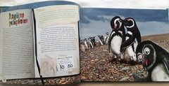 Animales Autóctonos para Niños Nativos- Islas del Atlantico Sur, Mar argentino y Antártida - buy online