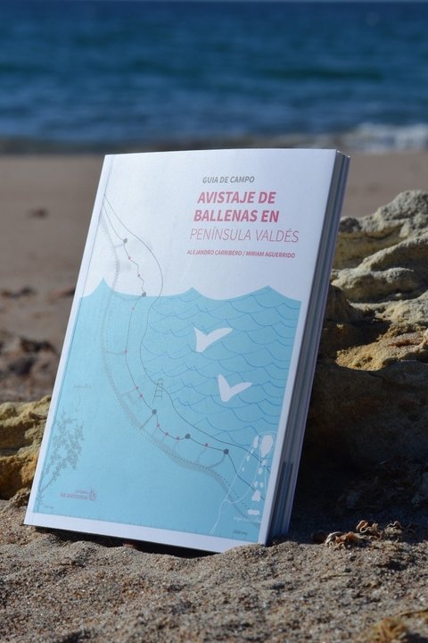Guía De Campo "Avistaje De Ballenas" En Península Valdés