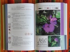 PLANTAS NATIVAS RIOPLATENSES PARA EL DISEÑO DE ESPACIOS VERDES - Introducción al Paisaje Natural - Parte II - tienda online