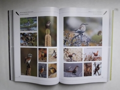 Image of AVES DE ARGENTINA - Tesoro Natural (Libro Homenaje a Tito Narosky) (Tapa Dura)