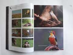 AVES DE ARGENTINA - Tesoro Natural (Libro Homenaje a Tito Narosky) (Tapa Blanda)