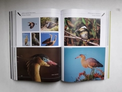 AVES DE ARGENTINA - Tesoro Natural (Libro Homenaje a Tito Narosky) (Tapa Dura) - buy online