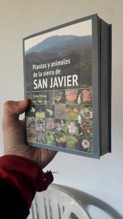 Plantas y animales de la sierra de San Javier en internet