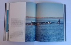 La Profundidad de las Ballenas - La Biblioteca del Naturalista