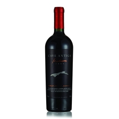 Cave Antiga Iridium 2009 750ml - comprar online