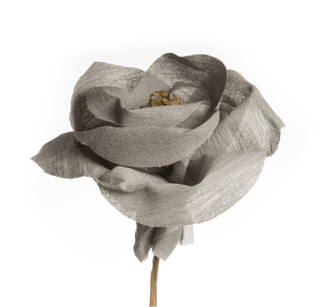 Luxury Flowers Grey - Luxury Scents