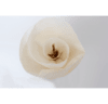 Linen Flower Mini - comprar online