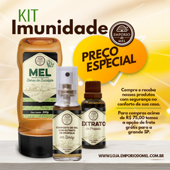 Kit Imunidade 01