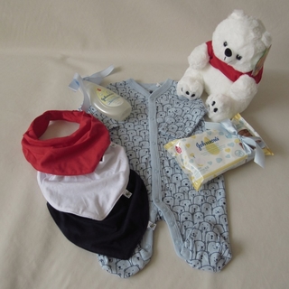 Cesta de Maternidade Peter the Polar Bear - comprar online