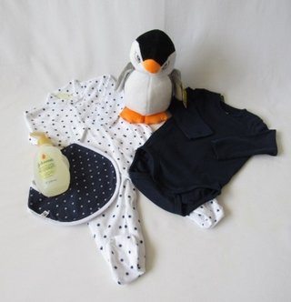 Cesta de Maternidade - Peter the penguin - comprar online