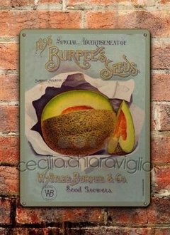 Chapa rústica Melrose melón - comprar online