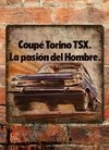 Chapa rústica Renault Torino TSX