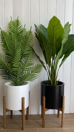 Planta dieffenbachia (Artificial)