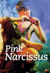 Pink Narcissus (1971)