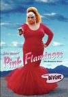 Pink Flamingos (1979)