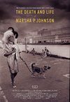 A Morte e a vida de Marsha P. Johnson (The Death and Life of Marsha P. Johnson) (2017)