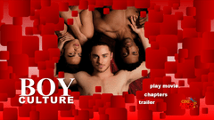 Boy Culture (2006) - comprar online