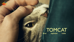 Tomcat (2016) - comprar online