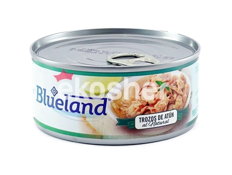 ATUN EN TROZOS AL AGUA "BLUELAND"