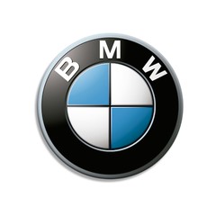 PLACA BMW MDF 30 CM