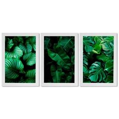 Kit 3 Placas Decorativas Folhas Verdes Jardim - Art Print Decorações