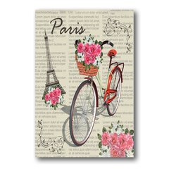 PLACA PARIS BIKE