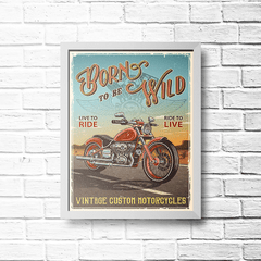 PLACA BORN TO BE WILD - comprar online