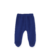Ranita micropolar azul