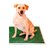 Bandeja sanitaria para perros con pasto sintético para interiores. Mantén limpio tu hogar con Carpet MAX PañoPet® en internet
