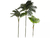 Planta Tropical - tienda online