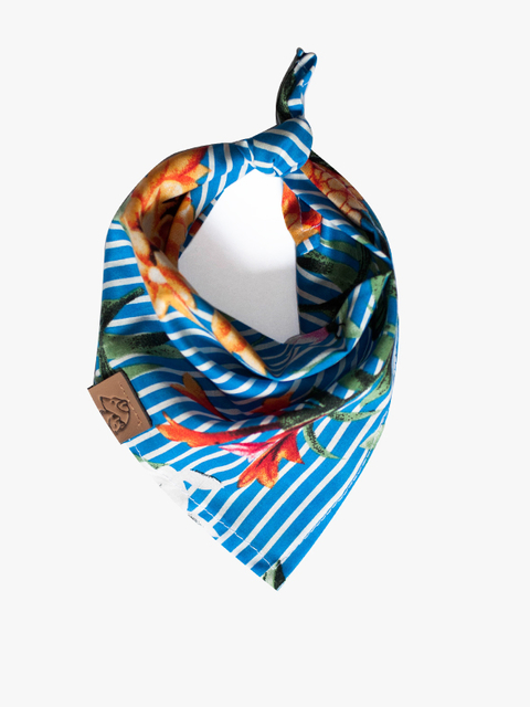 Bandana Pickorruchos Azul Xadrez