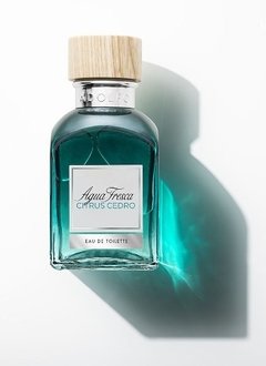 Perfume Agua Fresca Citrus Cedro Adolfo Dominguez 120ml - Tienda Ramona