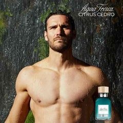 Perfume Agua Fresca Citrus Cedro Adolfo Dominguez 120ml - tienda online