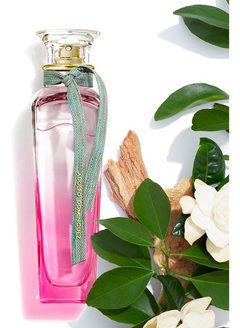 Perfume Agua Fresca De Gardenia Musk Adolfo Dominguez 120ml en internet