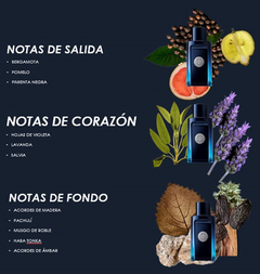 Perfume Hombre The Icon Antonio Banderas 100ml + Desodorante