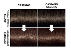 Tintura Coloración Permanente Kit Casting Creme Gloss Loreal en internet