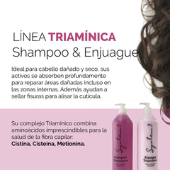 Shampoo Triaminico System 3 Cabello Seco Y Dañado 1100ml en internet