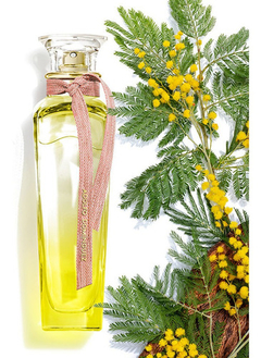 Perfume Agua Fresca Mimosa Coriandro Adolfo Dominguez 120ml en internet