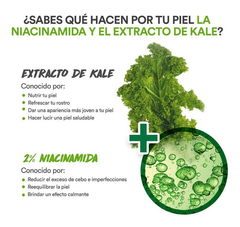 Mascarilla De Tela Garnier Con Niacinamida Y Kale - Detox en internet