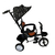Triciclo Infantil Nene Nena Con Capota Y Manija - comprar online