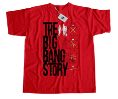 Remera The Big Bang Theory Mod.13