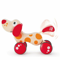 cachorro-de-passeio-hape