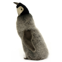 pinguim-imperador-filhote-hansa