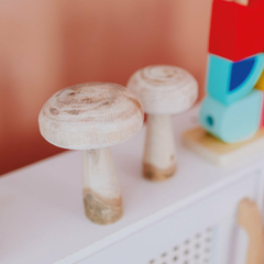 kit-de-cogumelos-rusticos-de-madeira-natural