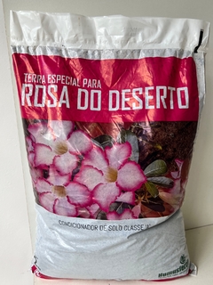 Terra especial Rosa do Deserto, Amarílis e Suculentas. - comprar online
