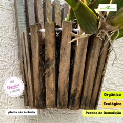Cachepot Reto de parede (20x13 cm. Altura total 30 cm) - Orquideomania - A Melhor loja para comprar Orquídeas online.